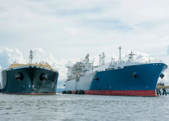 품질 (STS) 선박과 선박 간 이동 Pperations를 위한 요코하마 압축 공기를 넣은 고무 구조망 공장