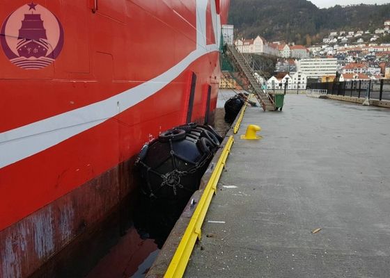 품질 산업 바다 배 압축 공기를 넣은 고무 구조망, 바다 감시 팽창식 고무 구조망 공장