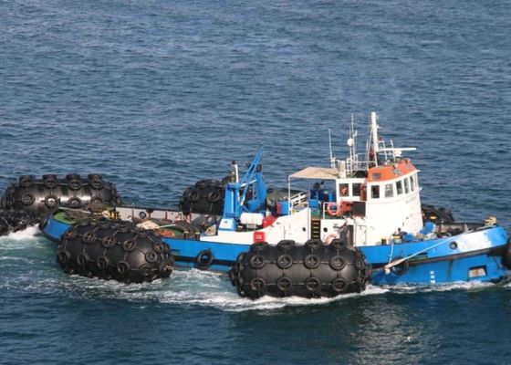 품질 선창을 위한 노화 방지 수력 전기 압축 공기를 넣은 구조망, 상업적인 배 구조망 및 배 공장