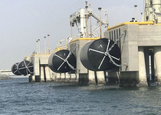 품질 주문을 받아서 만들어진 배는 거품에 의하여 구조망 다채로운 EVA 채워진 바다 뜨 구조망을 분해합니다 공장