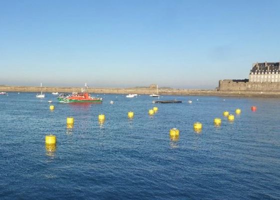 품질 막대 근해 계류기구 부표, 물 생활 동안 고착폴리에틸렌 채널 감적 부표 공장