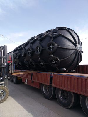 품질 그물 유형 공압 고무 D 펜더 고무 해양 STD STS 공장