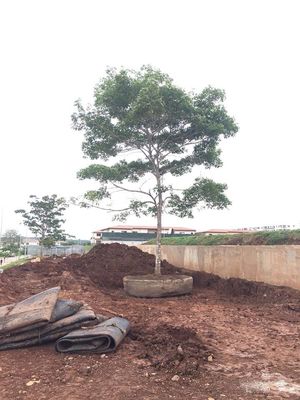 품질 해양 고무 선박 발사 에어백 드라이 도크 발사 리프팅 선박 공장