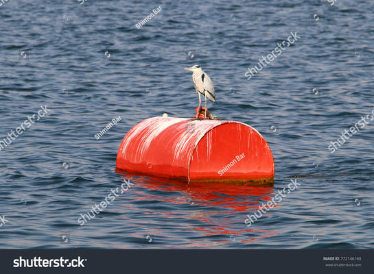 품질 요트를 위한 높은 부력 큰 강철 계류장 부표 뜨 바다 부표 공장