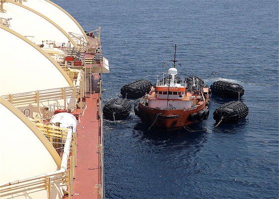 품질 직경 3.3m* 6.5m 길이 공압 해양 구조망 STS STD 공장